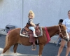 Pony Rides