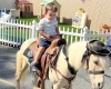 Pony Rides