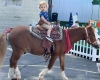 Pony Rides