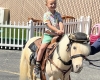 Pony Rides