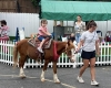 Pony Rides