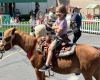 Pony Rides