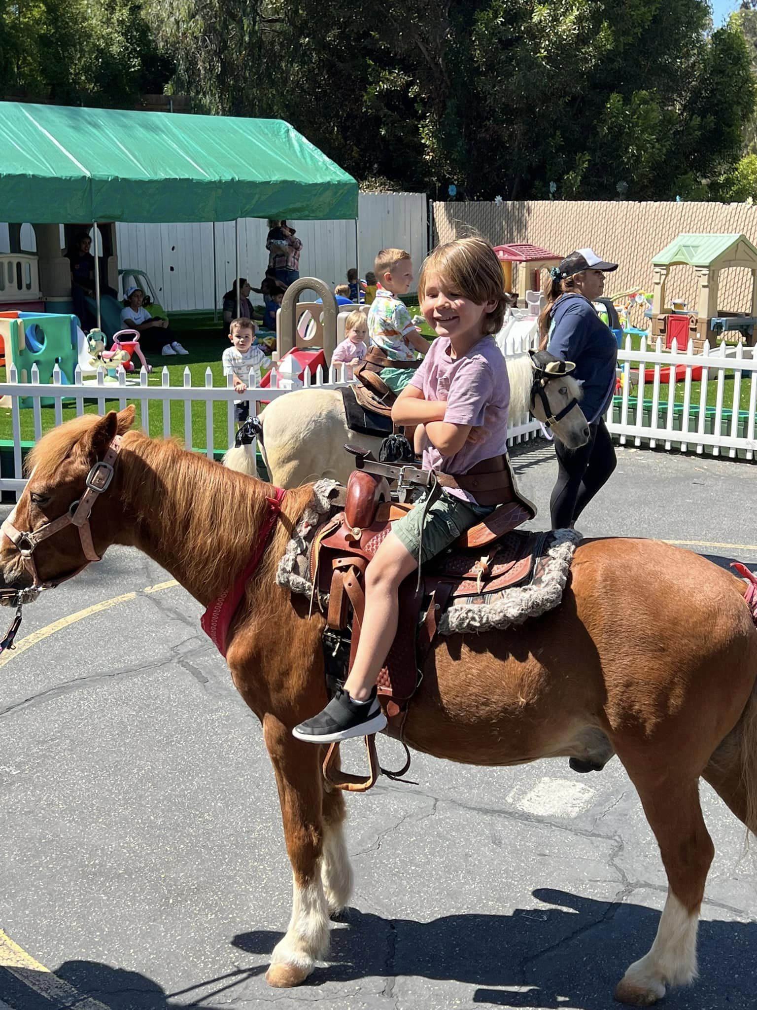 Pony Rides