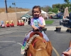 Pony Rides