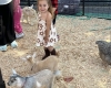 Petting Zoo