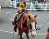 Pony Rides