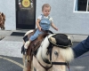 Pony Rides