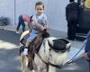 Pony Rides