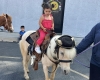 Pony Rides