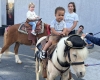 Pony Rides