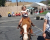 Pony Rides