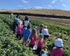 Field Trip to Tanaka Farm