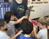 Lizard Wizard Reptile Show